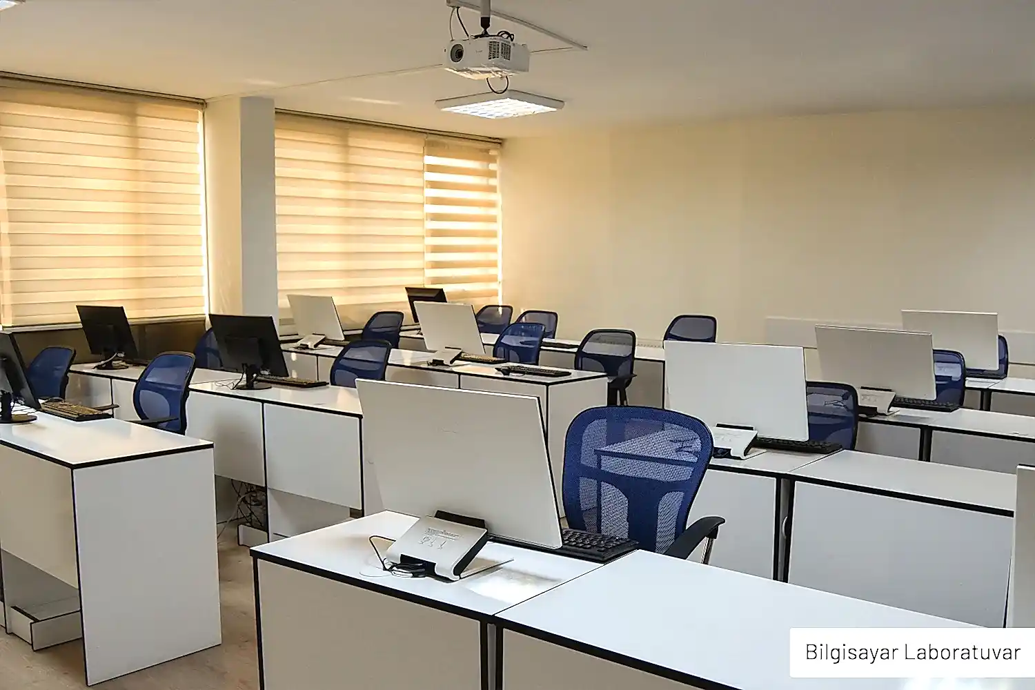 Vektörel Bilişim - 6