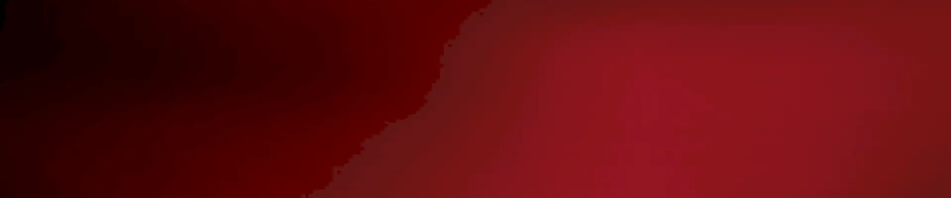 Vektörel Bilişim Yazılım Kursu